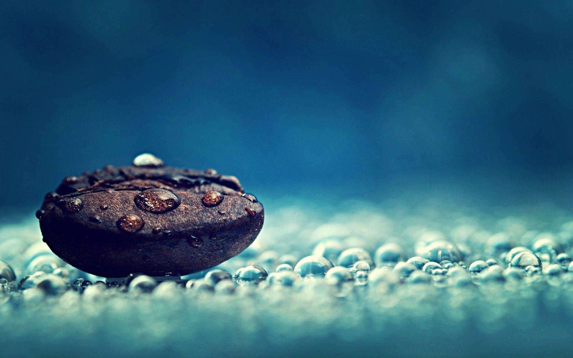 Water Drops On A Coffee Bean