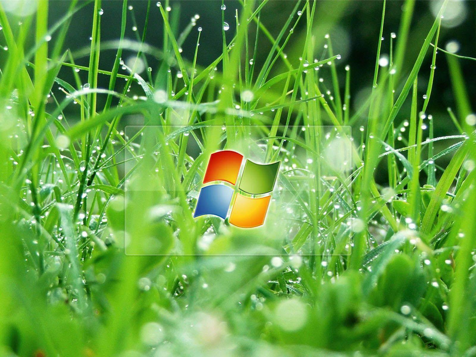 Windows XP Wallpaper And Background