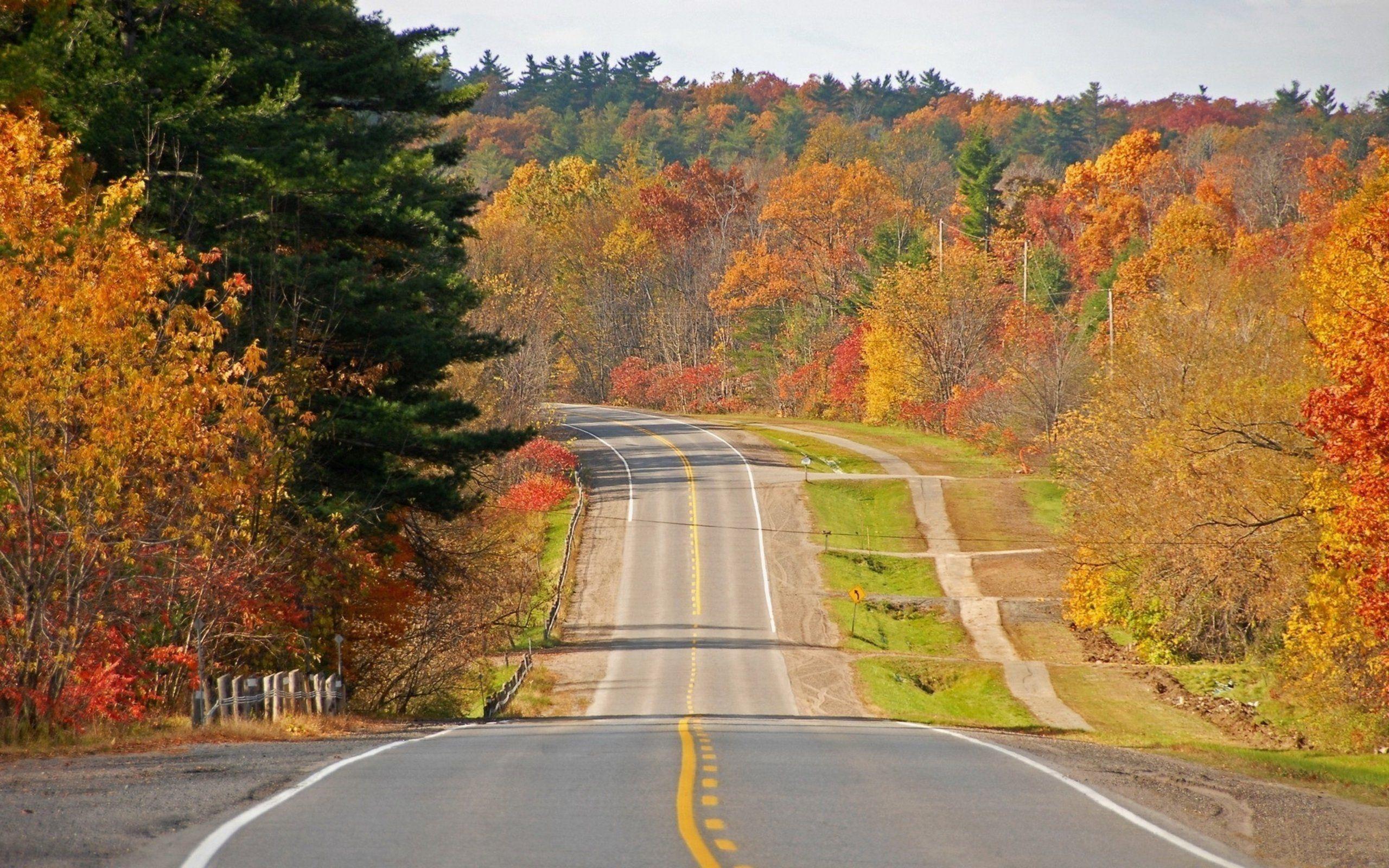 Download Fall For Mac Autumn Road By Car Wallpaper. Full HD