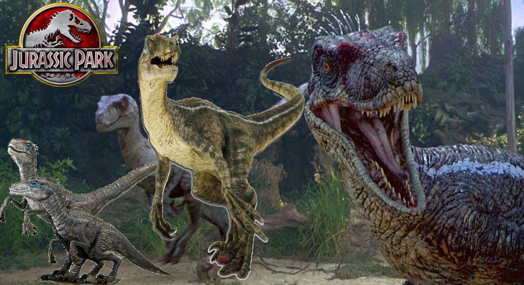 Jurassic Park Raptor wallpaper