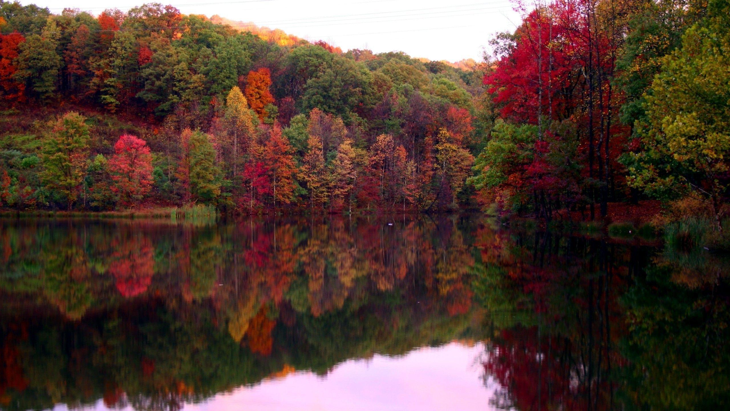 River reflecting the colorful fall trees Wallpaper #