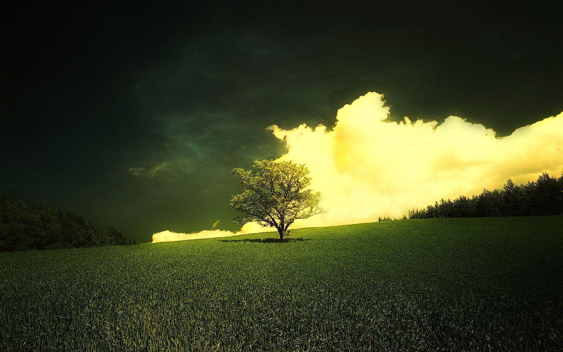 Spring Nature Background Widescreen 2 HD Wallpaper. Hdimges