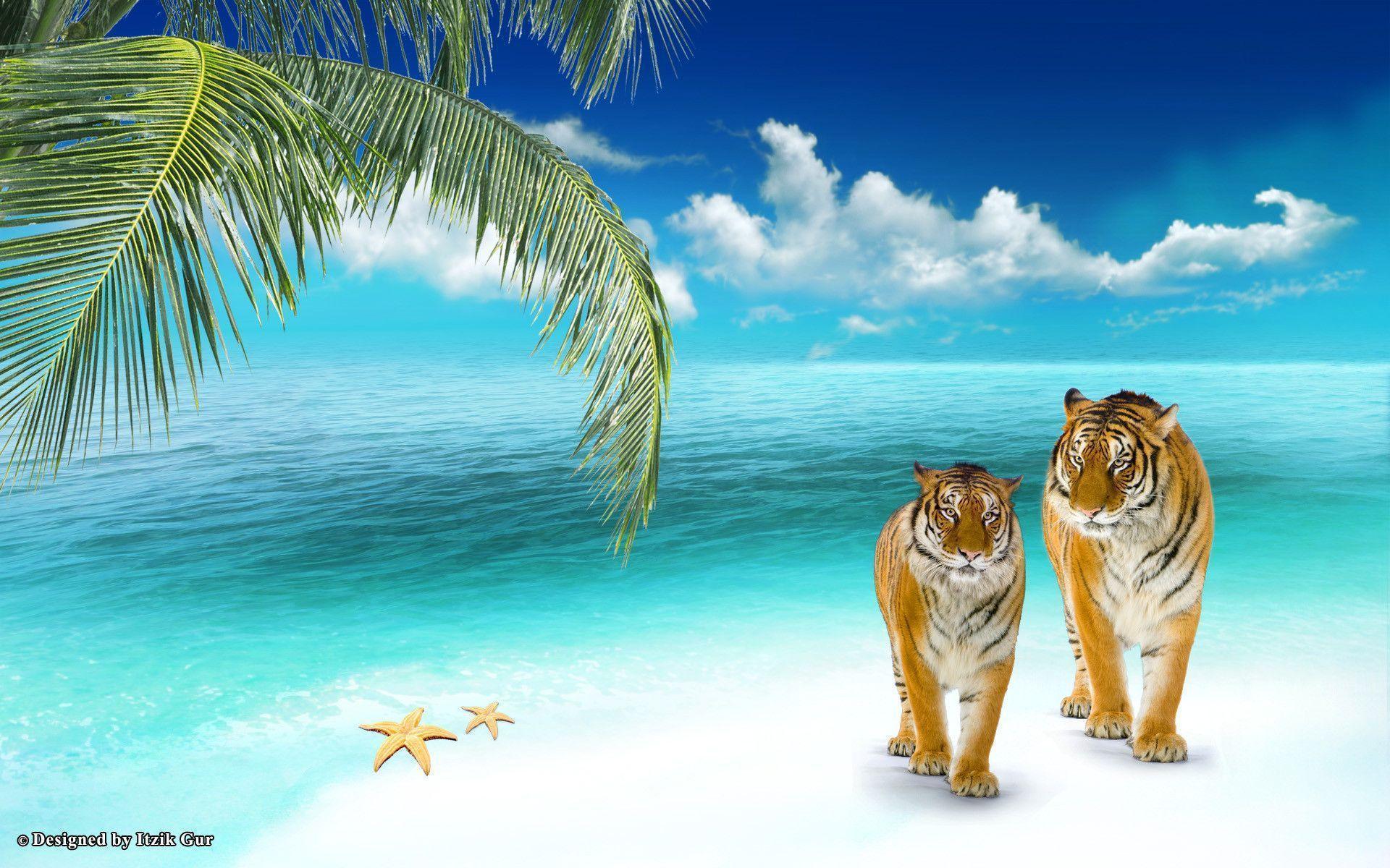 Tiger On The Beach Wallpaper