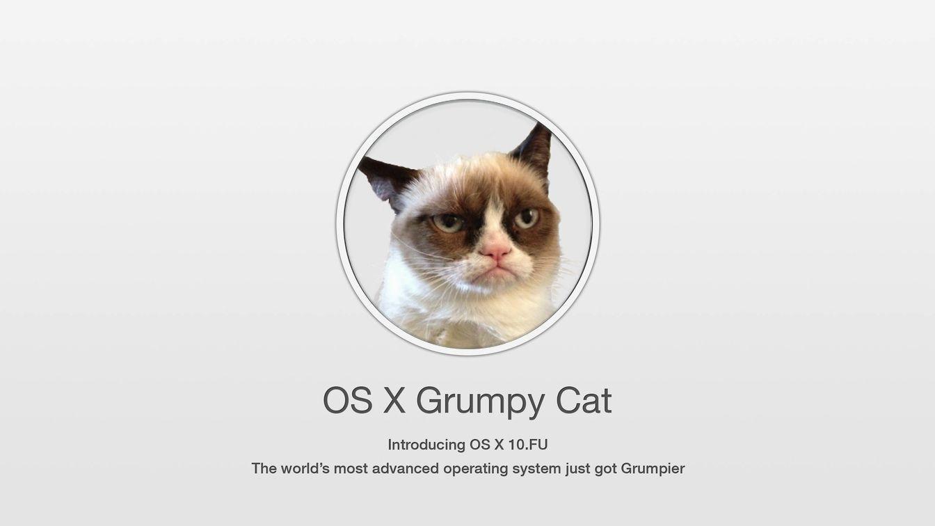 FairerPlatform Blog Archive OS X Grumpy Cat Wallpaper