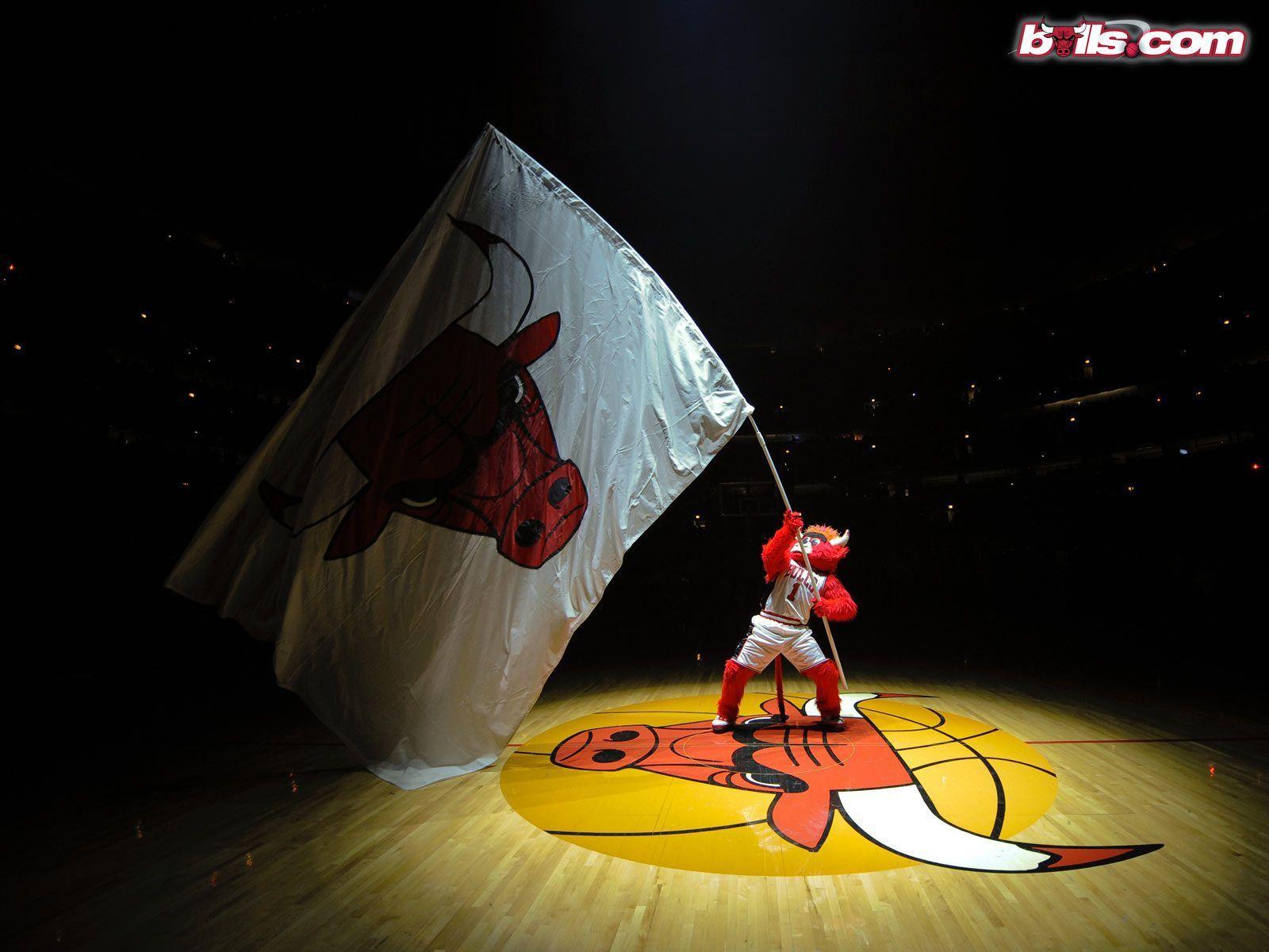Download Chicago Bulls NBA wallpaper