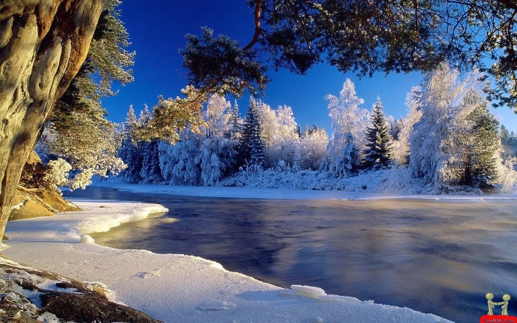 Snow HD Wallpaper and Background