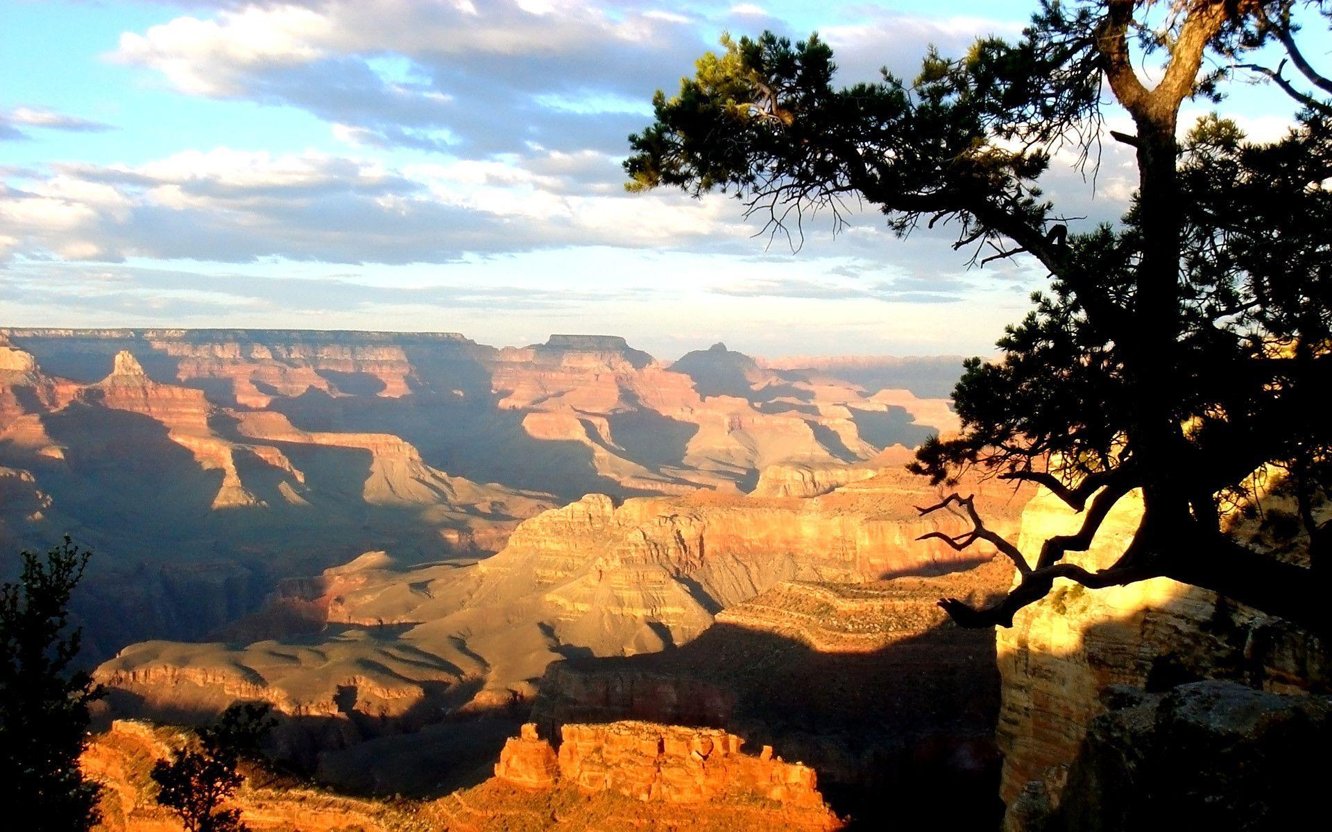 Most Downloaded Grand Canyon Wallpaper HD wallpaper search