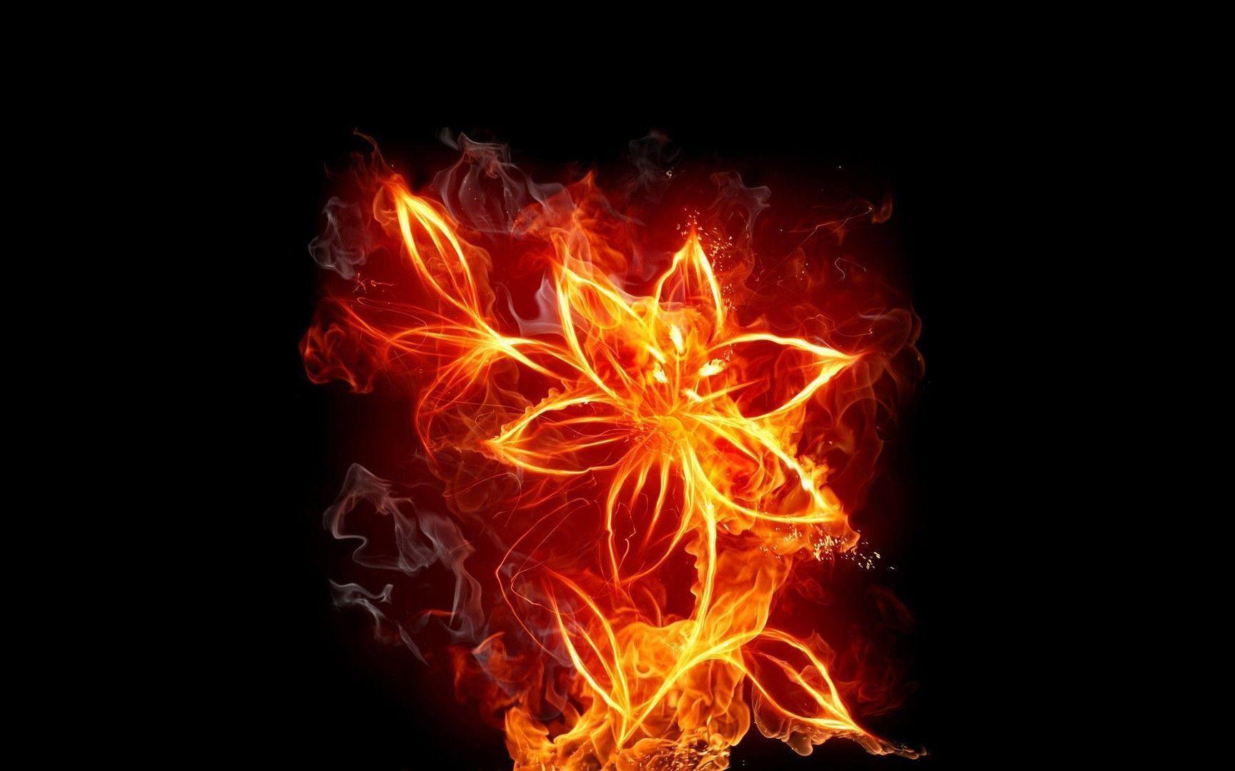 Free Fire Flower HD desktop Wallpaper widescreeen. HD Wallpaper