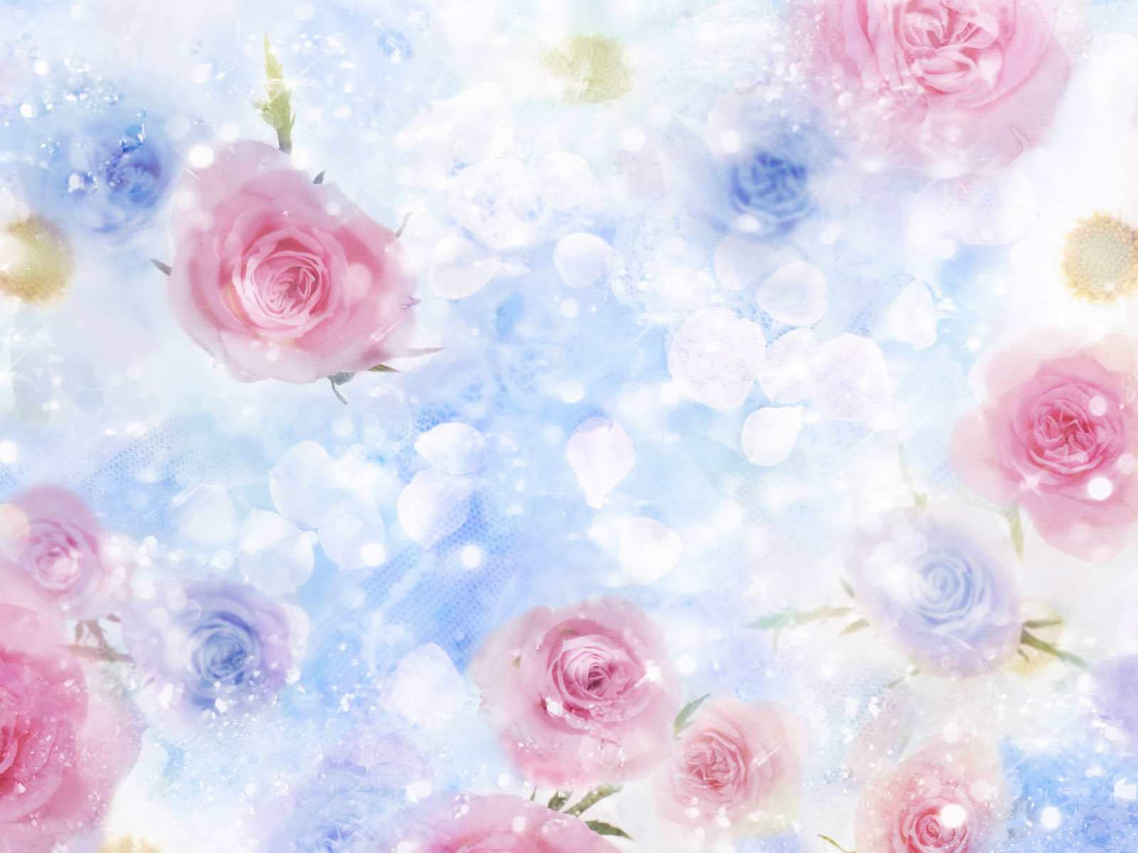 Beautiful Flower Background Picture