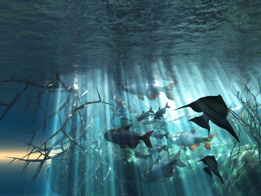 Underwater ocean scene