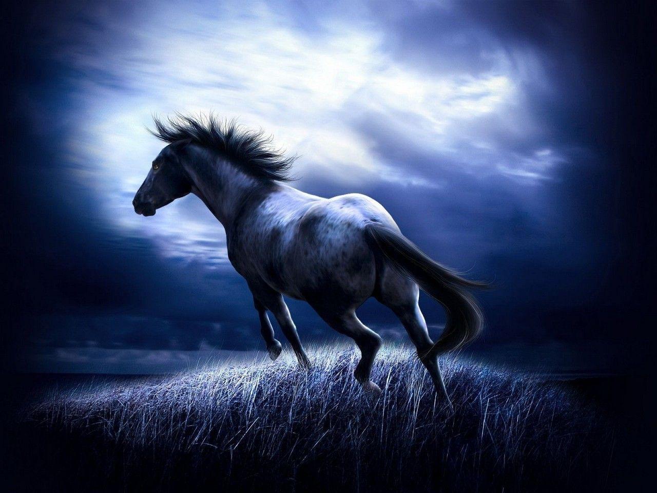 image For > Pretty Paint Horse Background