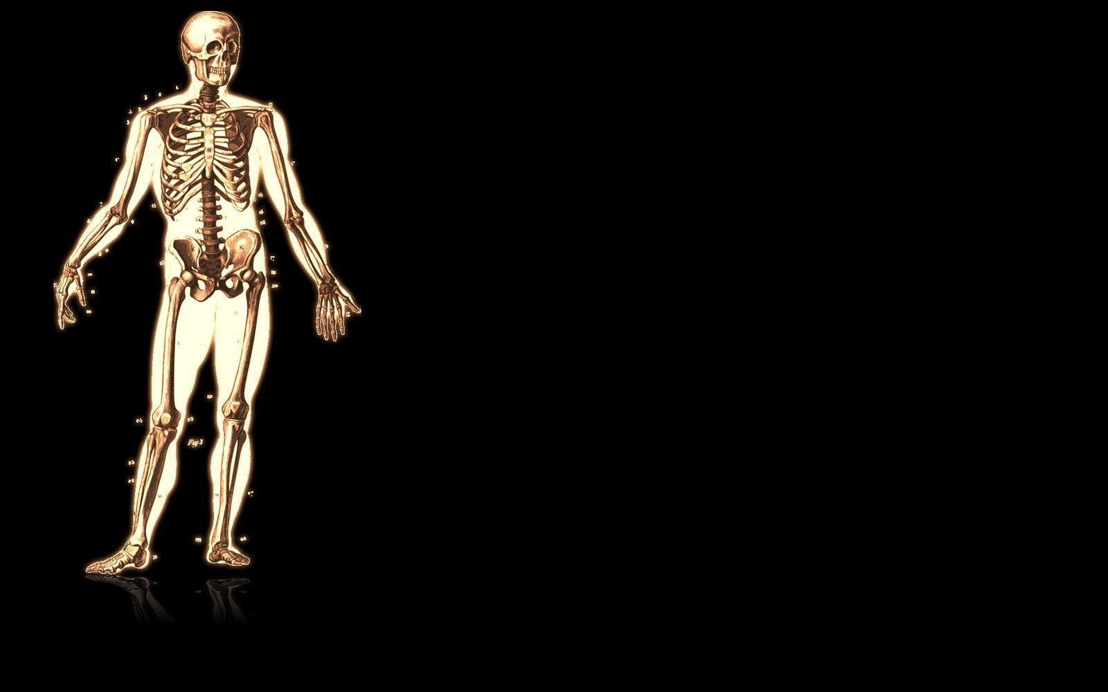 Wallpaper Skeleton. Black Wallpaper For Desktop