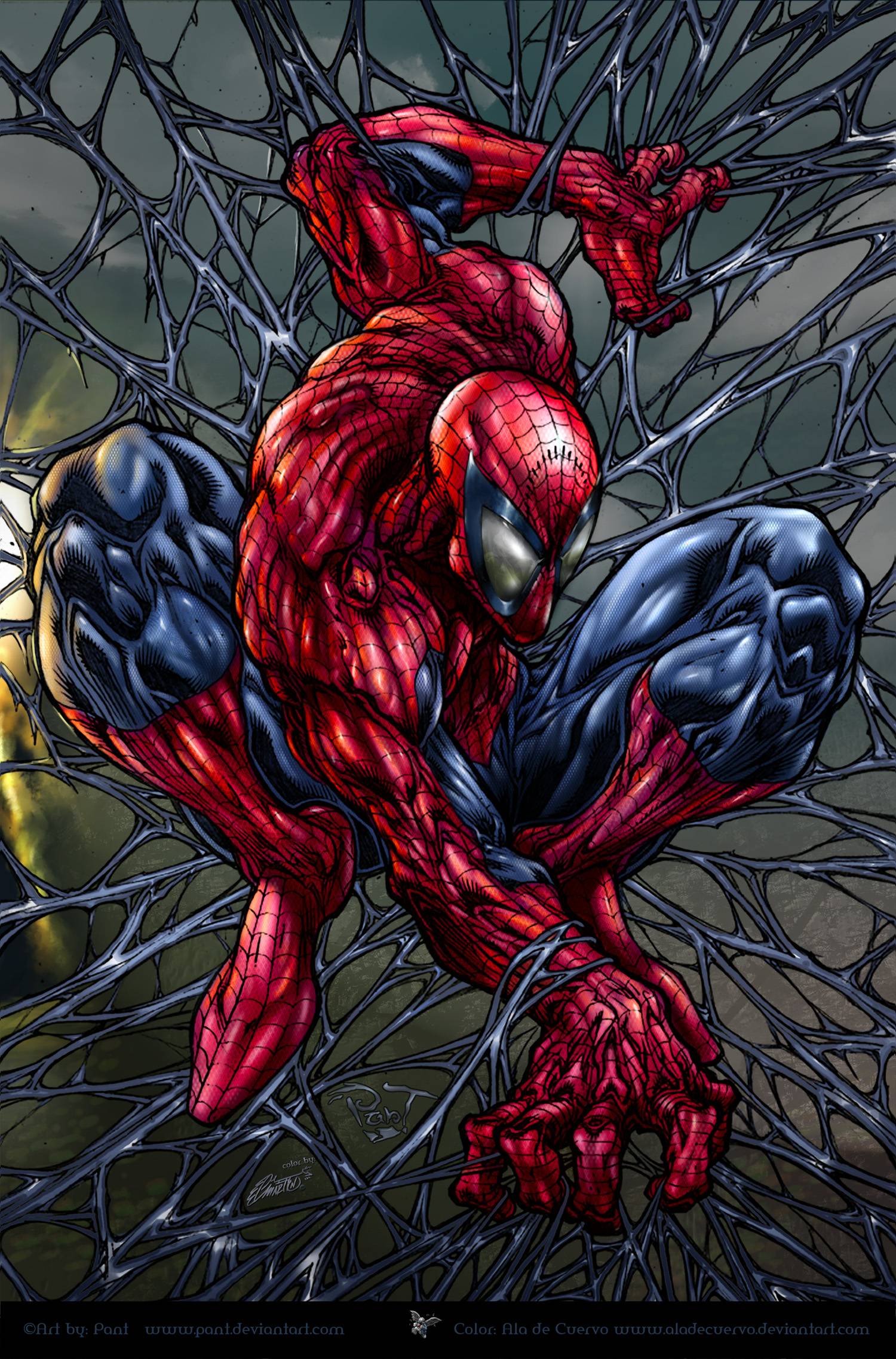 Spider-Man Cartoon Wallpapers - Wallpaper Cave