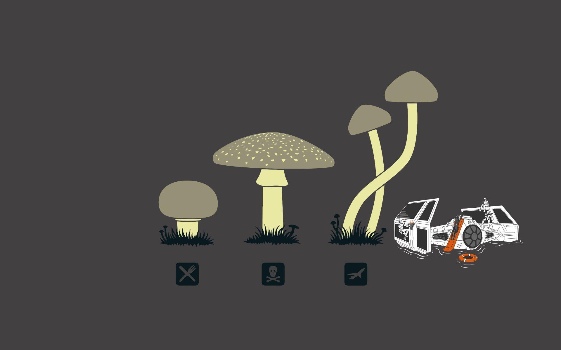 Shroom Wallpaper HD Image & Picture