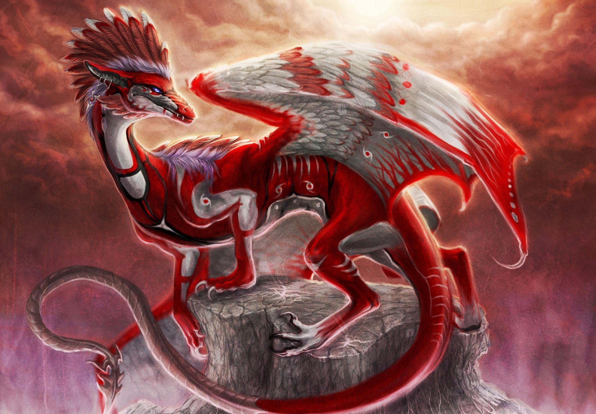 Wallpaper For > Red Dragon Background