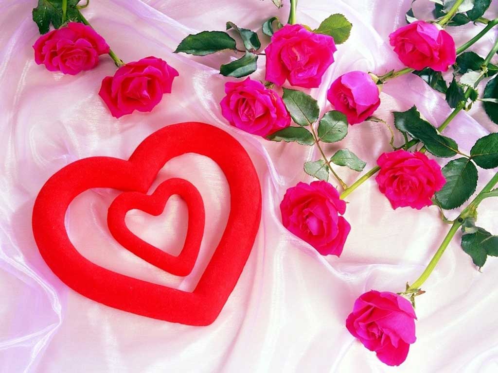 New Latest Valentine&;s Day 2009 Heart Red Flowers Wallpaper