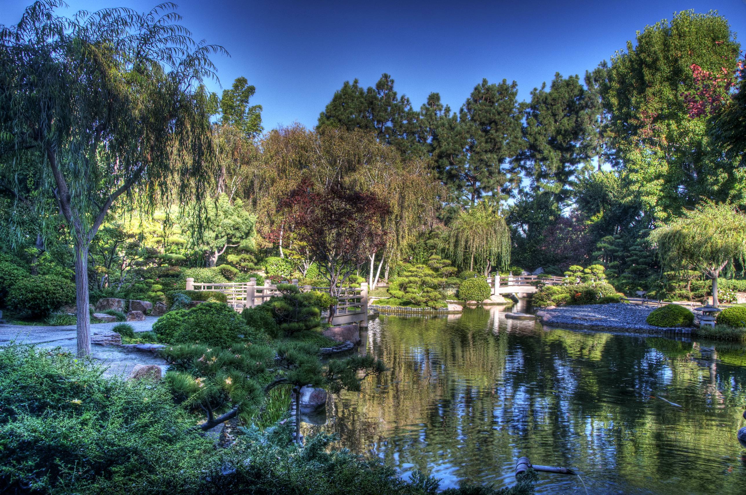 Wallpaper Gardens Pond USA Earl Burns Miller Japanese Garden