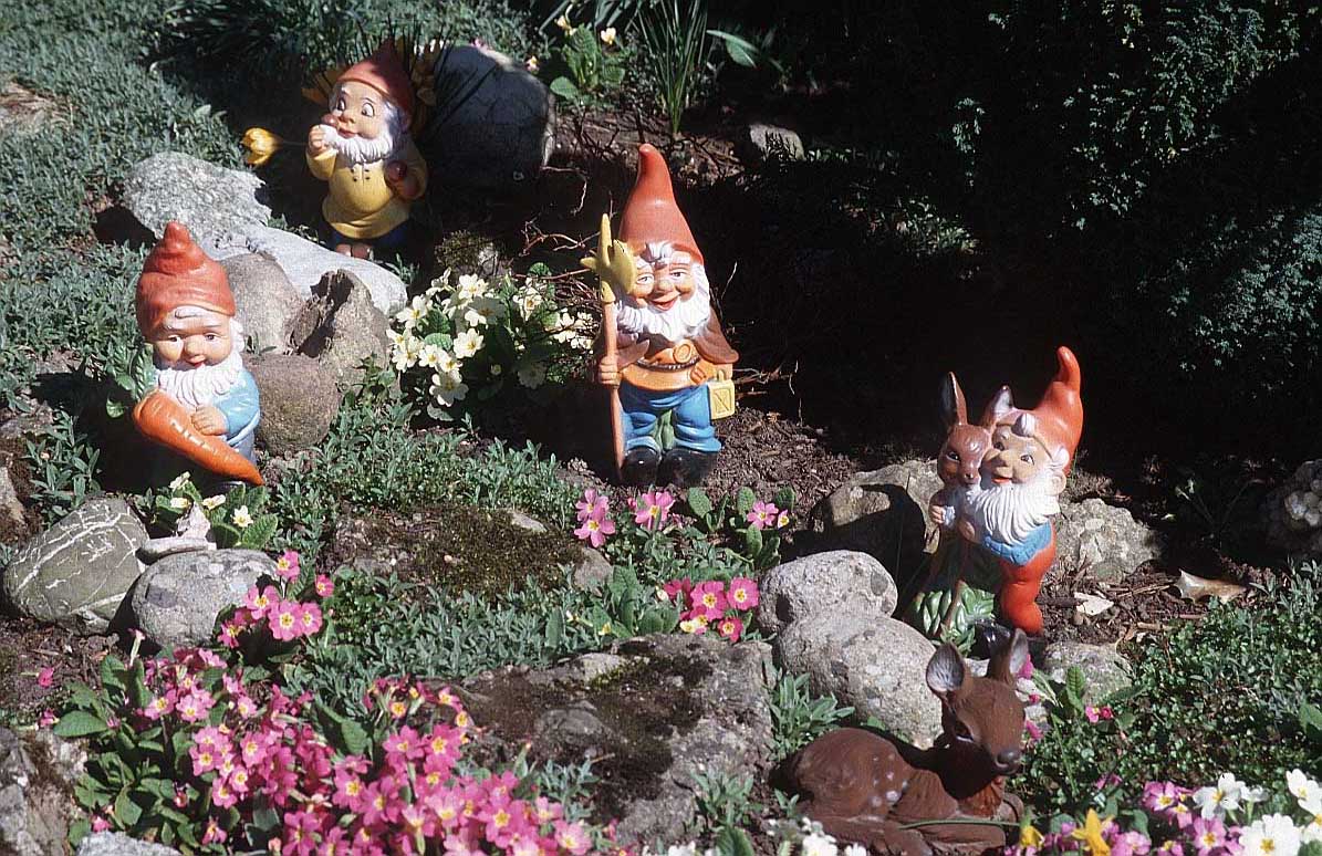Garden Gnomes, photo