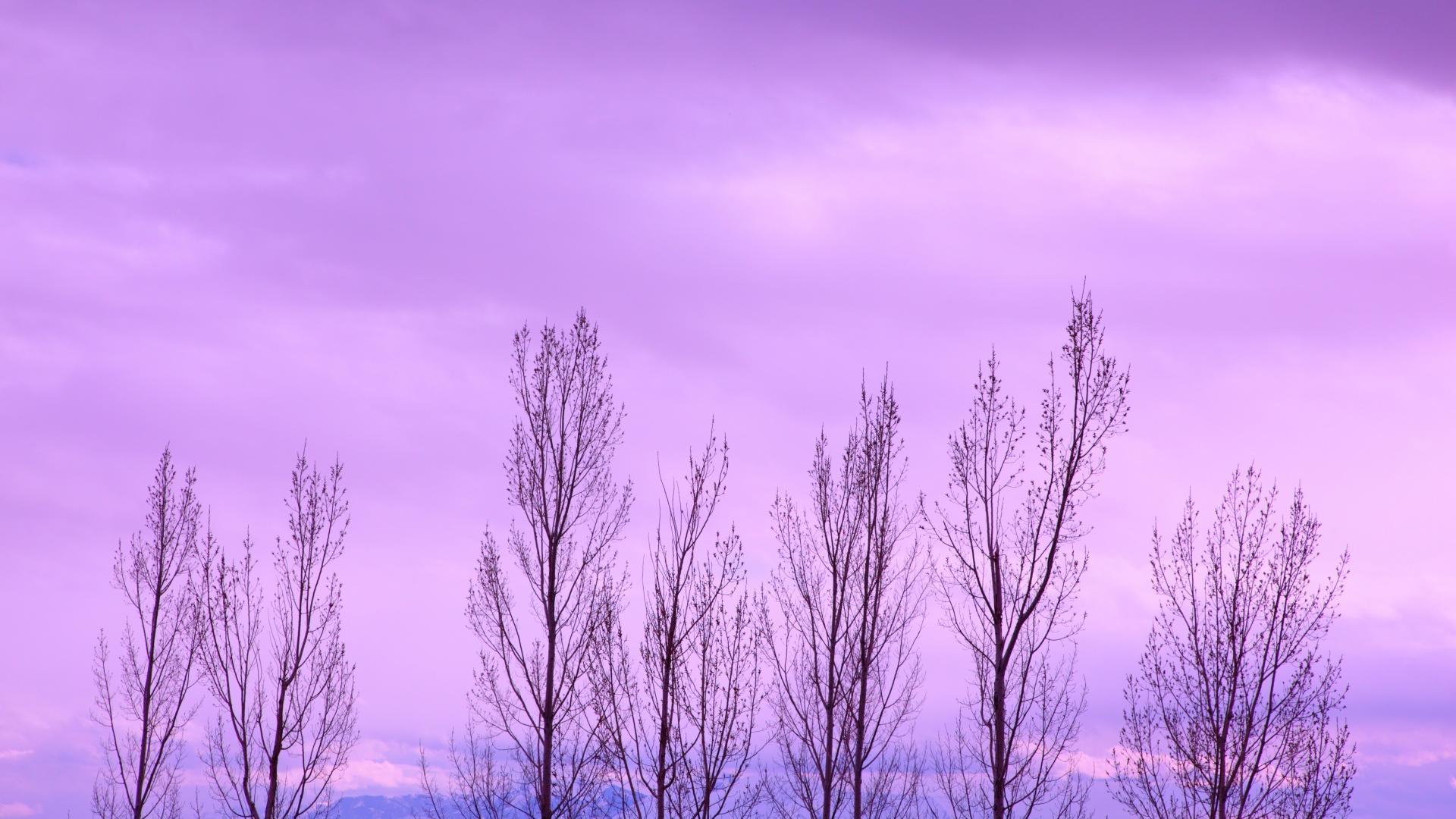 Amazing Purple Sky Background For Desktop Widescreen and HD