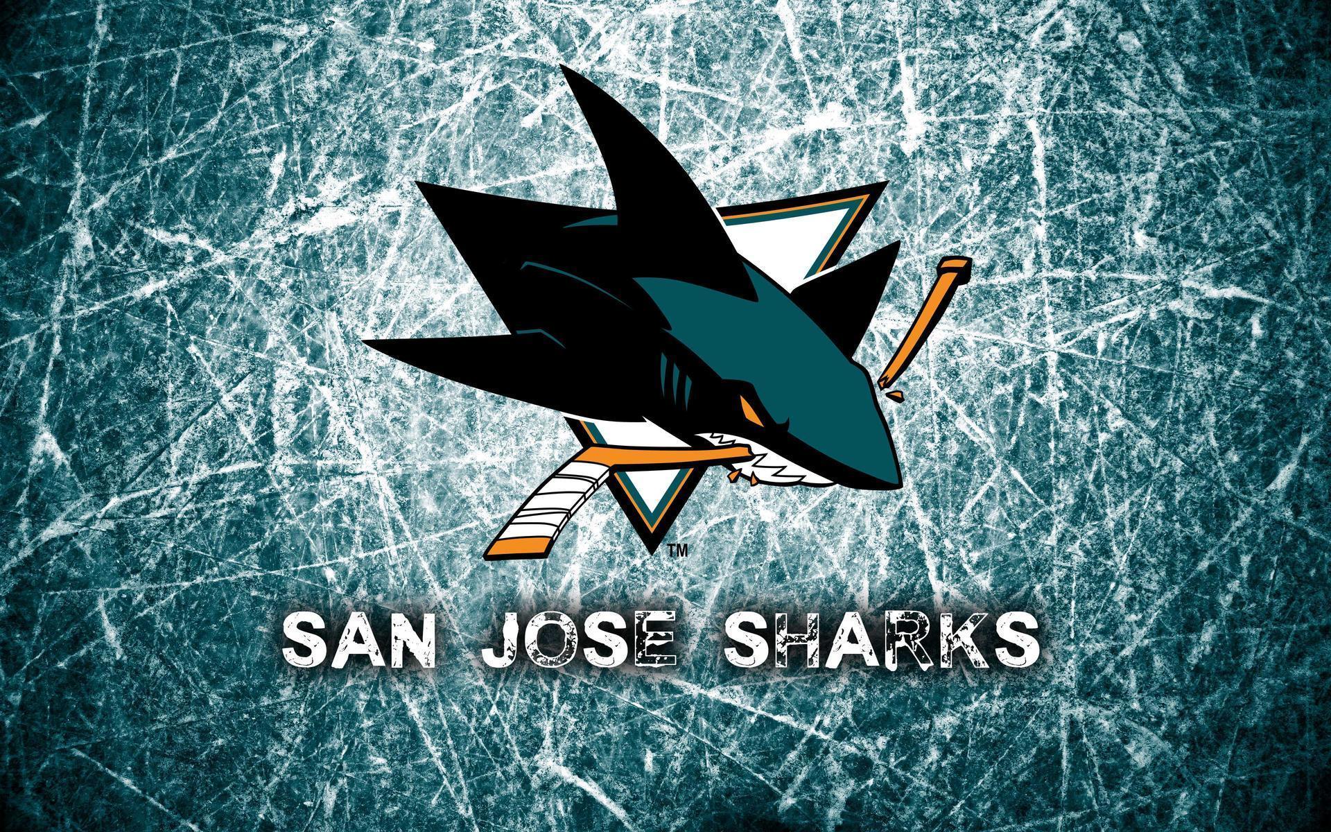 San Jose Sharks 2014 Logo Wallpaper Wide or HD