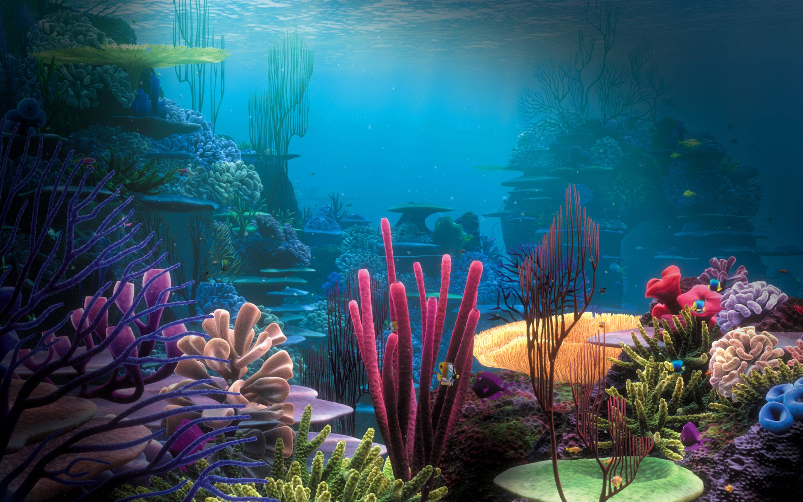 Ocean Underwater Wallpaper For Desk Full HD Wallpaper