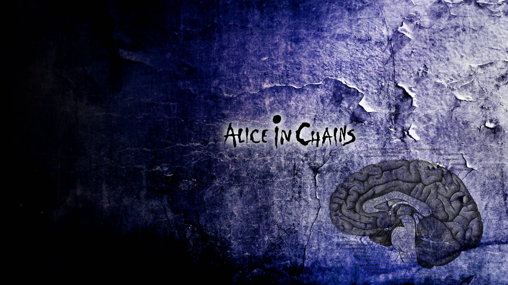 Related Picture Alice In Chains Wallpaper Car Picture