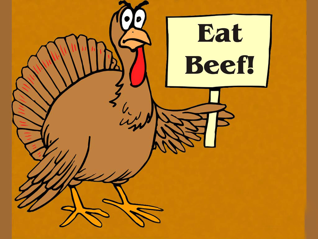 Free Funny Thanksgiving Wallpapers Wallpaper Cave