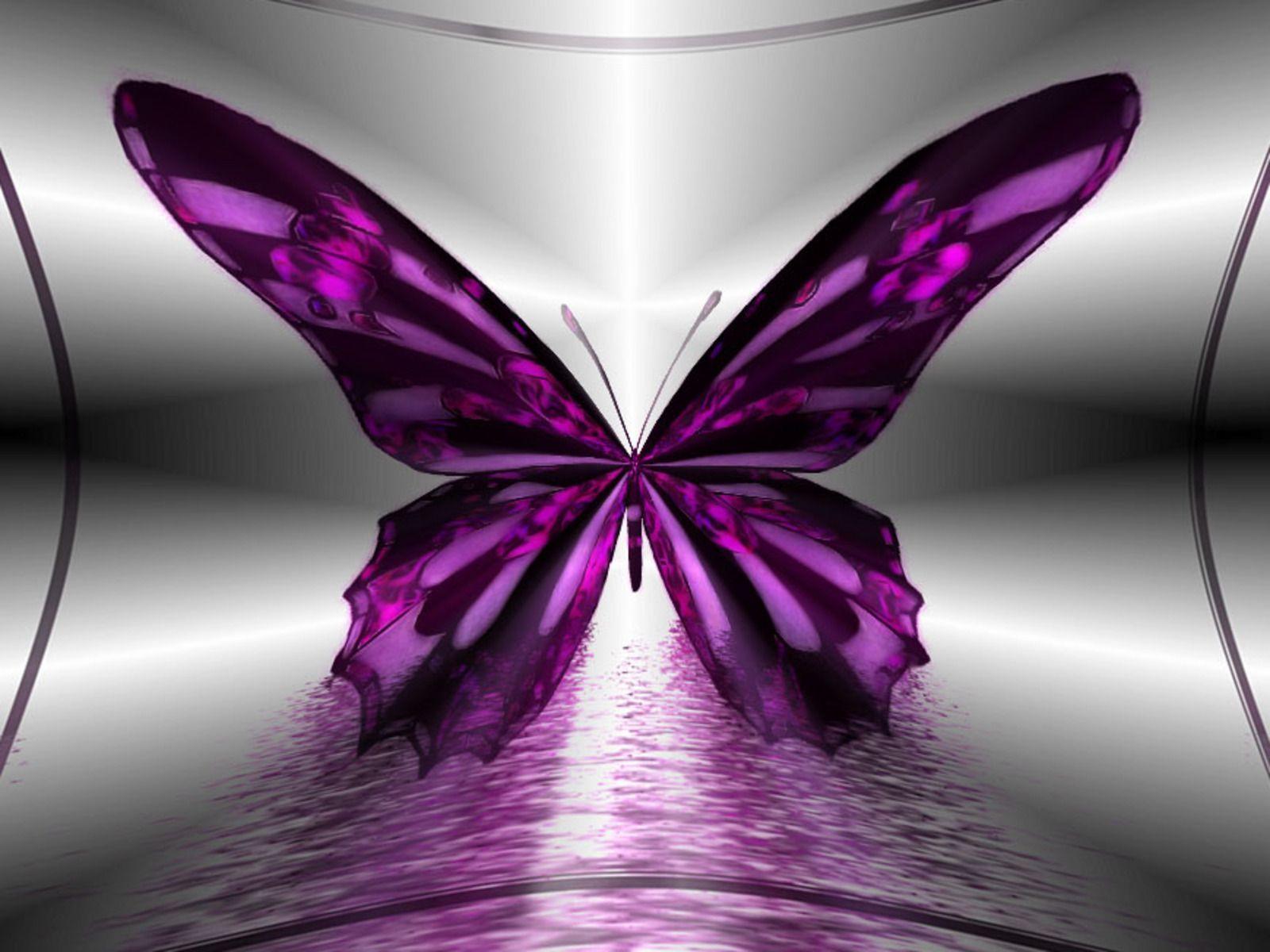 Purple Butterfly Wallpaper. High Definition Wallpaper, High