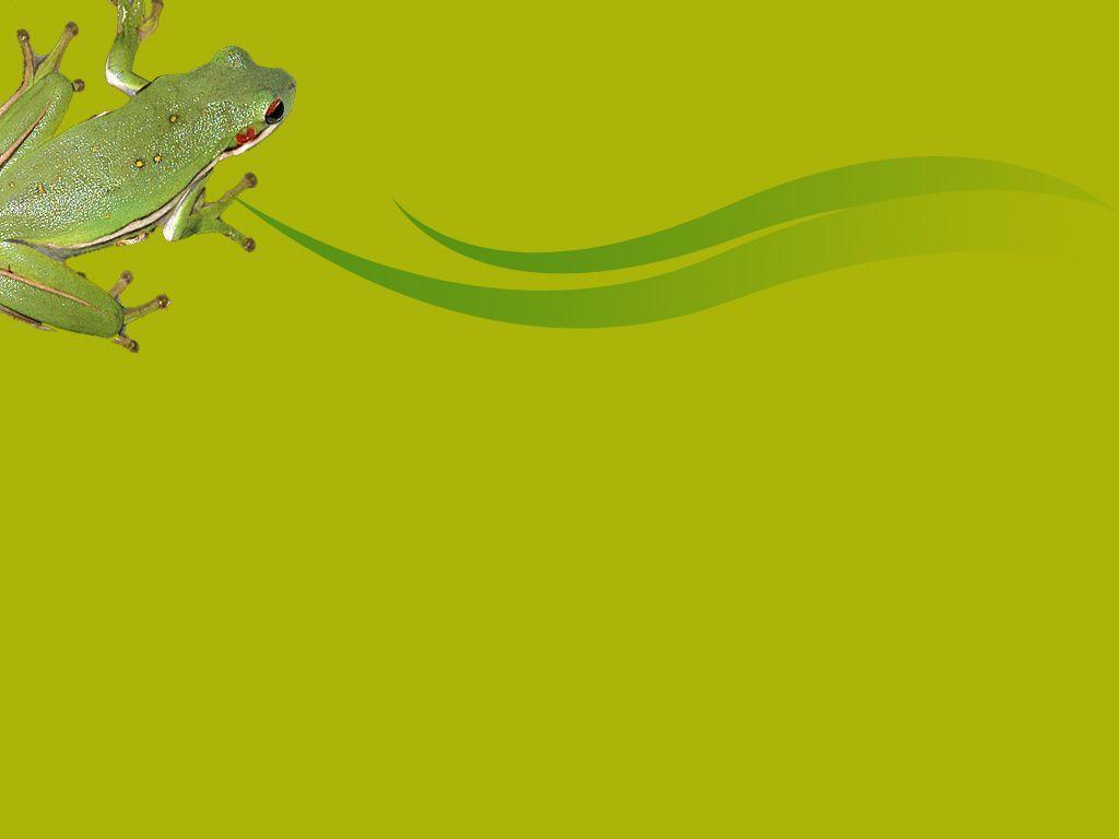 Frog Download PowerPoint Background