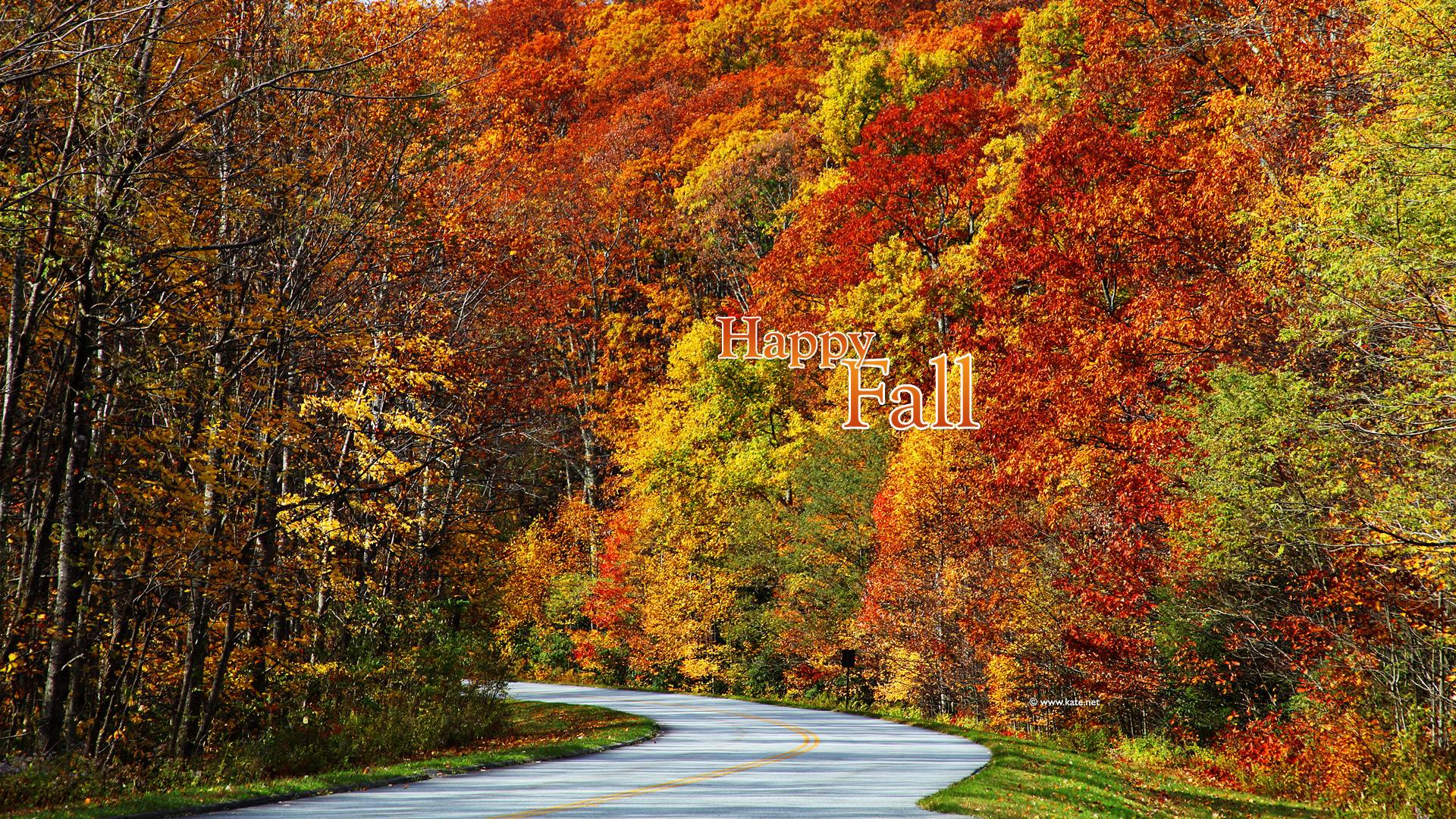 Fall Scenery Wallpaper 1920x1080. Hot HD Wallpaper