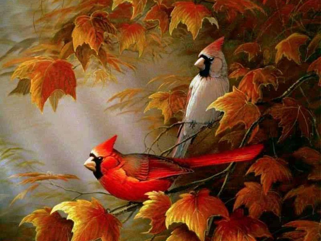 Autumn Cardinals wallpaper