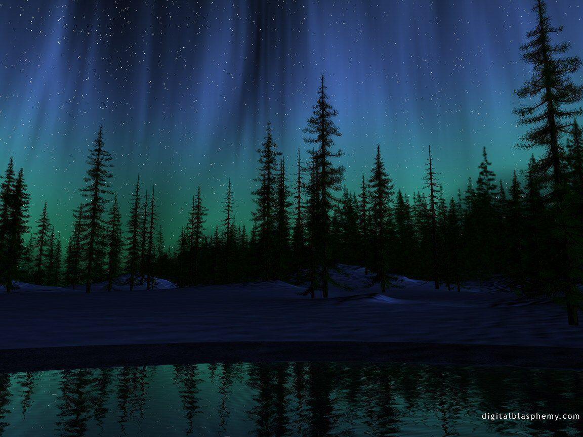 Forest At Night Aurora Borealis Art Nature Wallpaper Image