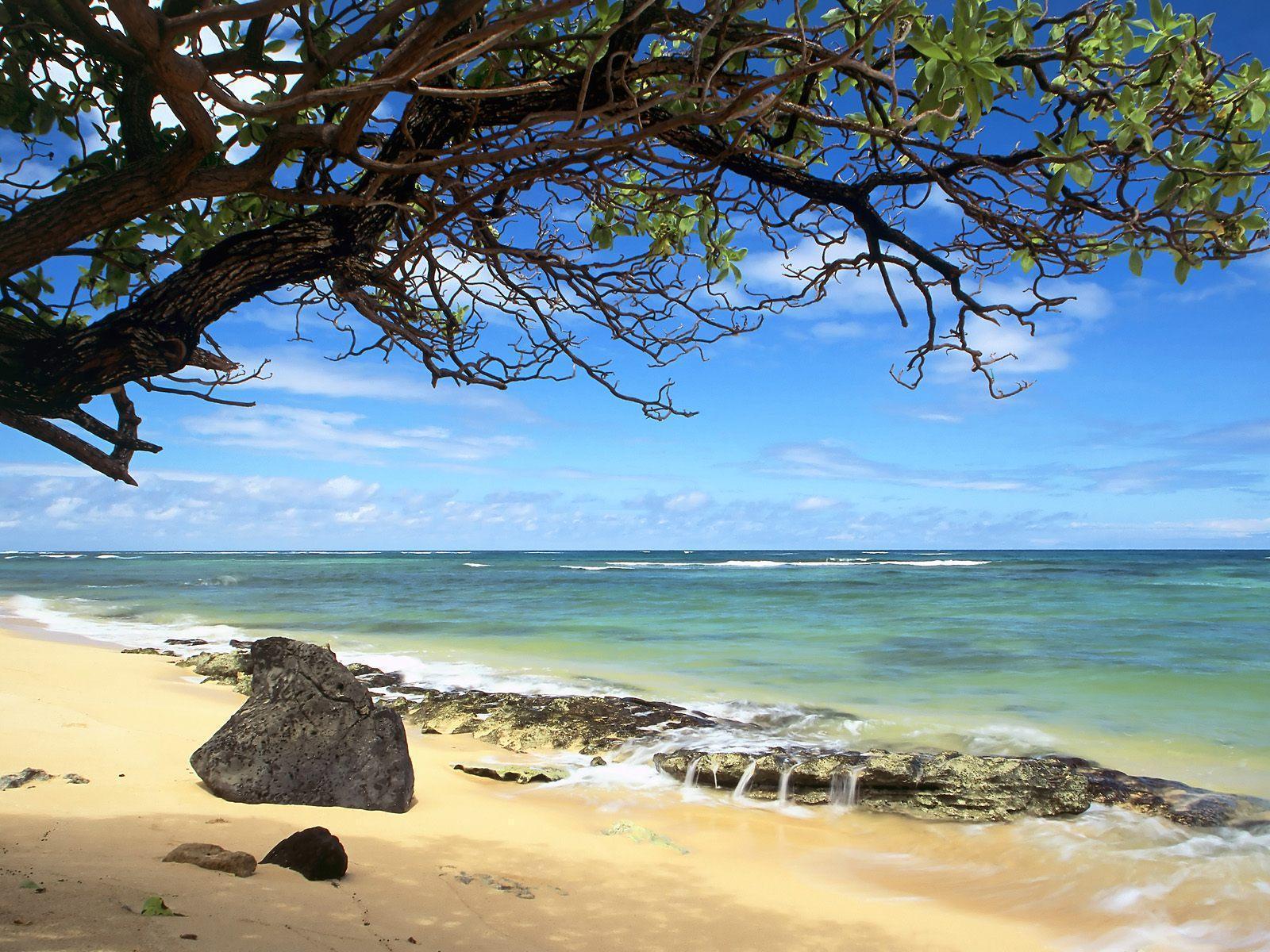 Kanenelu beach Oahu free desktop background wallpaper image