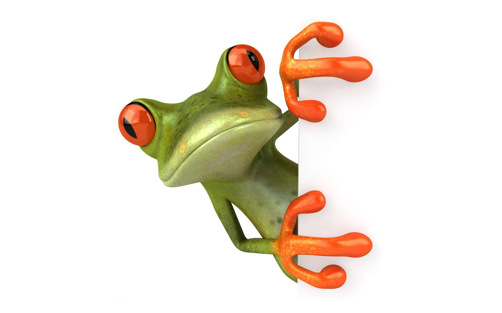 3D Wallpaper Wallpaper Cute Frog 1024x768 3D Wallpaper