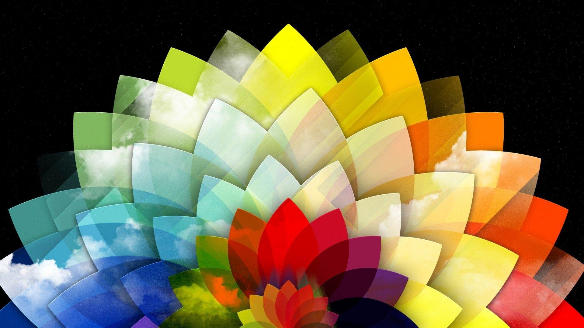 Multi Color Flower HD Wallpaper 1920x1080p wallpaper download