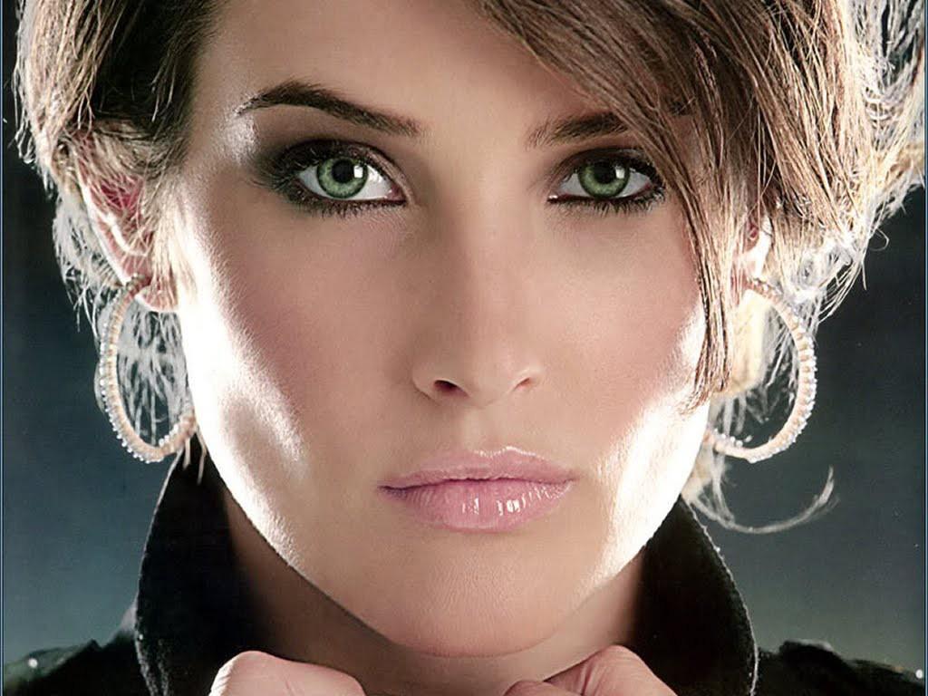 Hollywood Stars: Cobie Smulders HD New Nice Wallpaper 2013