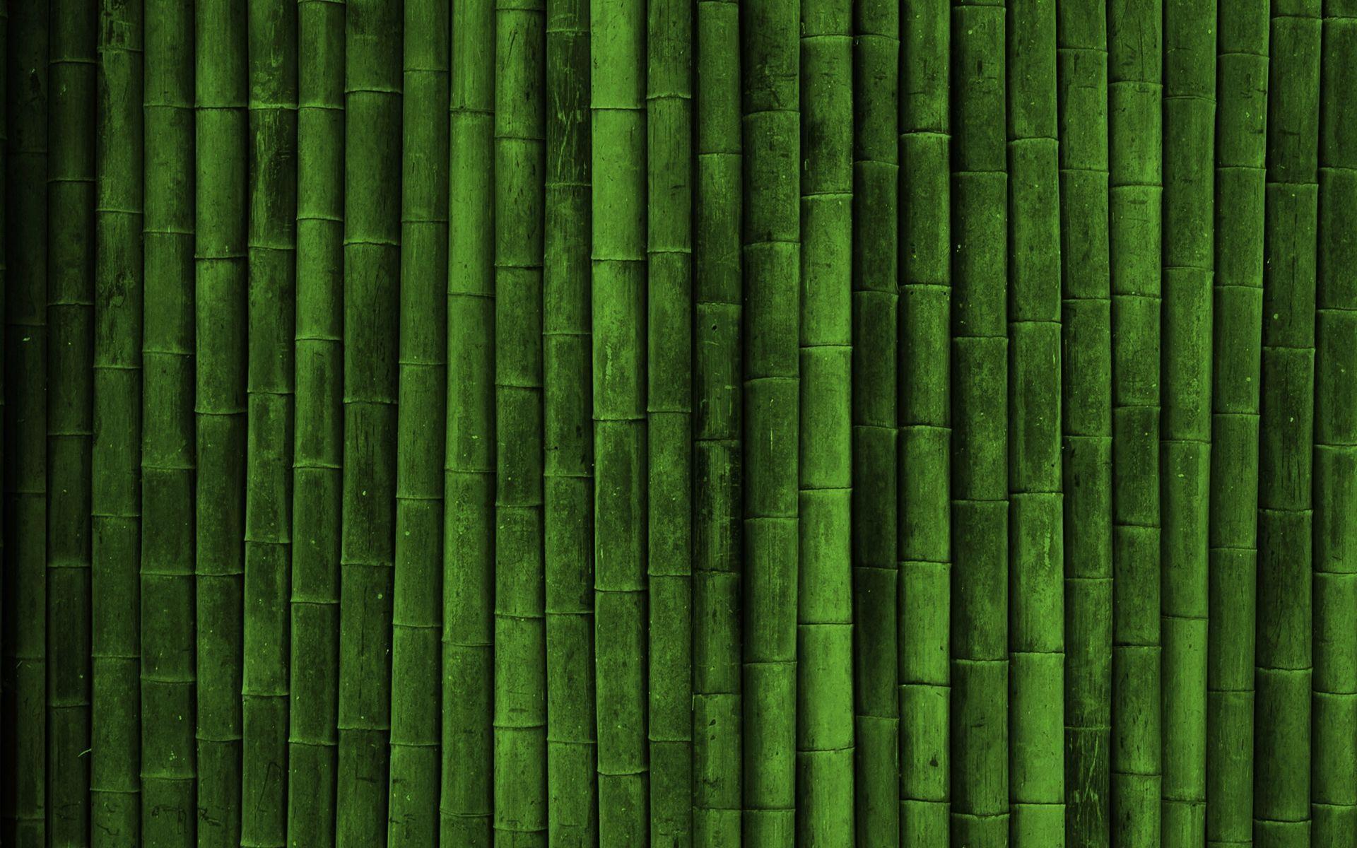 Green Bamboo Background Wallpaper and