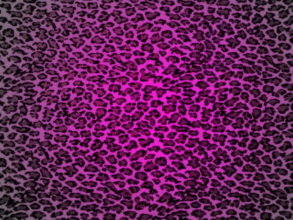 Exciting Leopard Print Wallpaper Background 975x731PX Animal