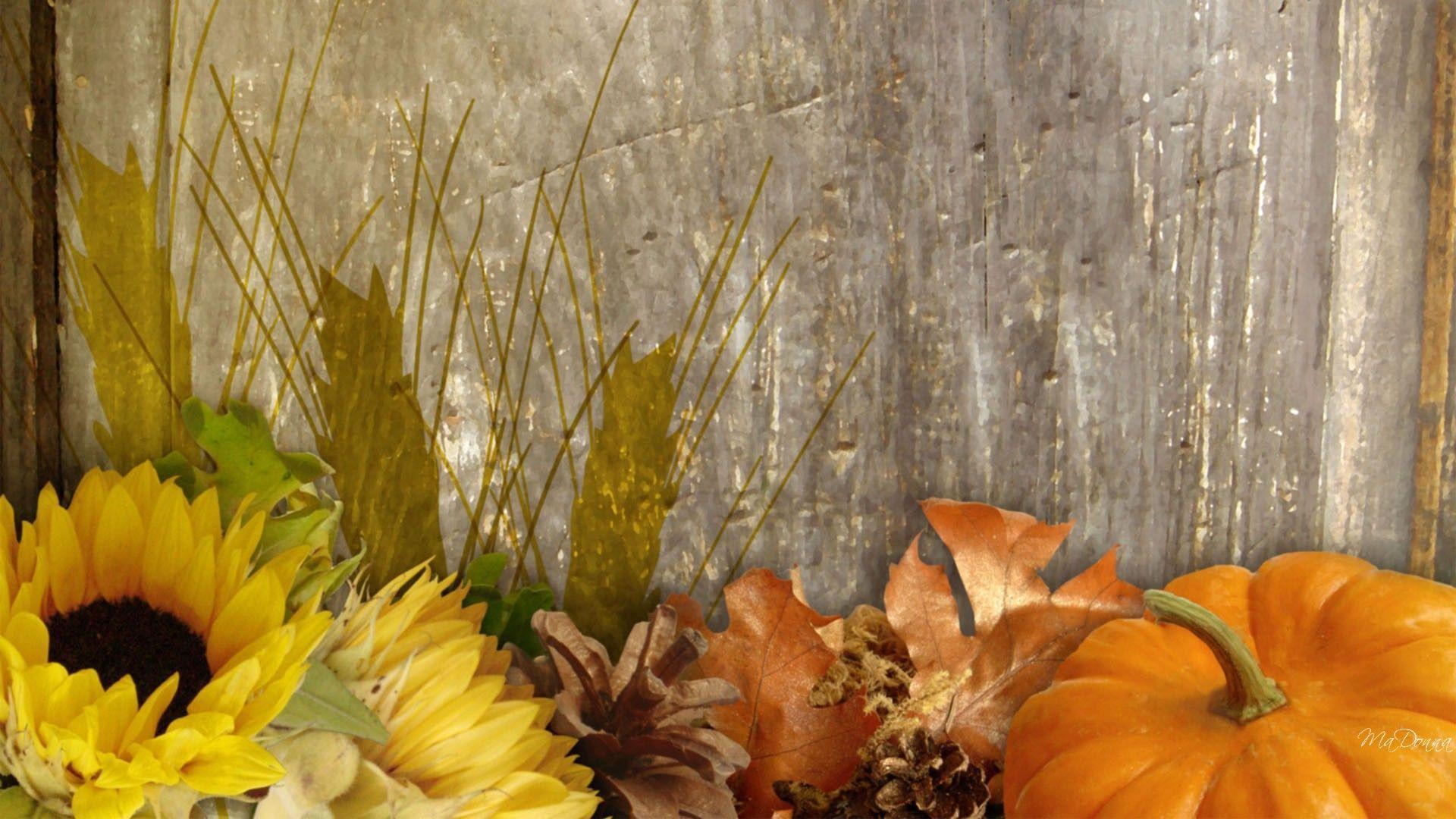 Fall Harvest Desktop Background, wallpaper, Fall Harvest Desktop