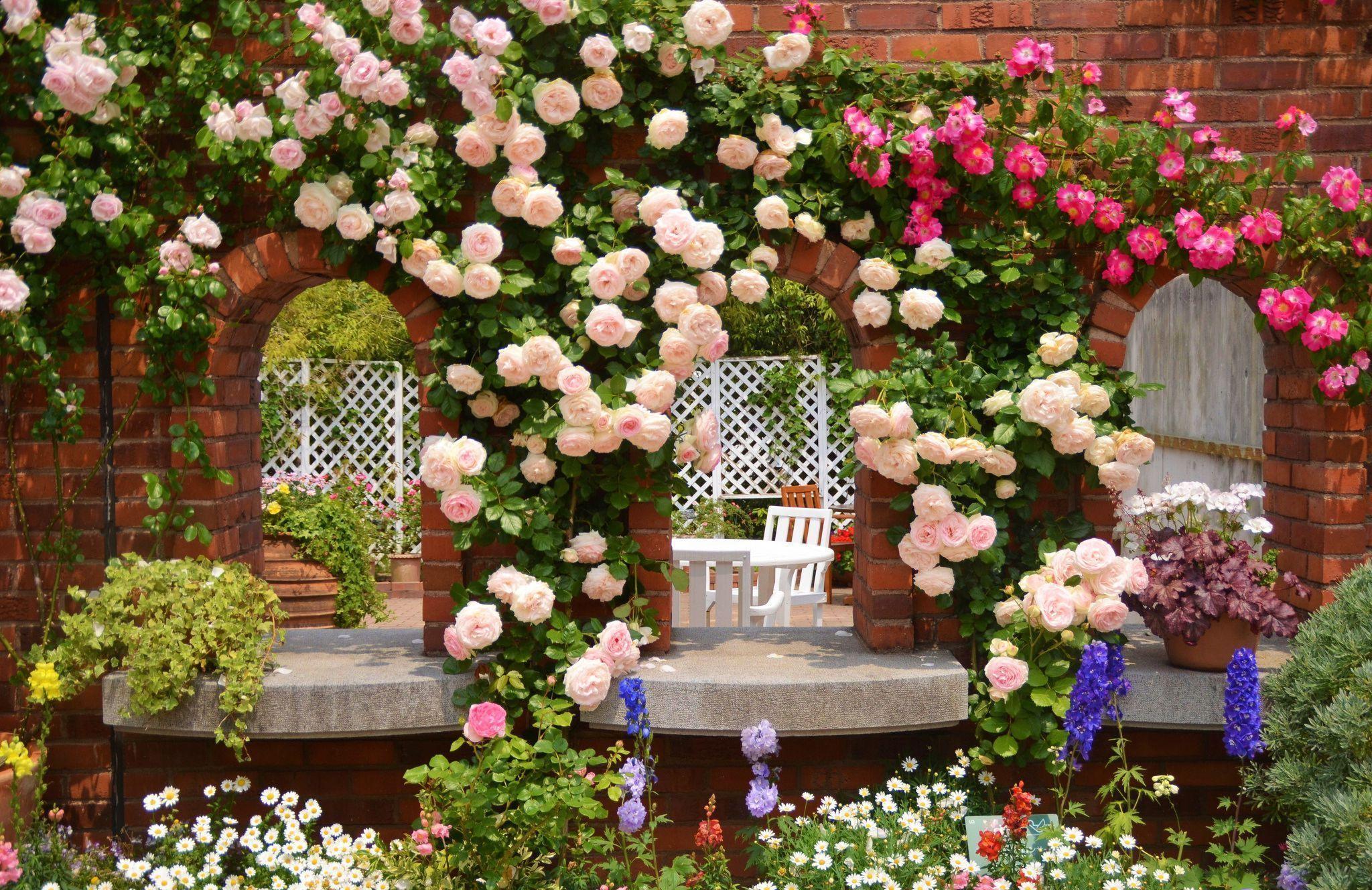 Rose Garden Wallpaper HD