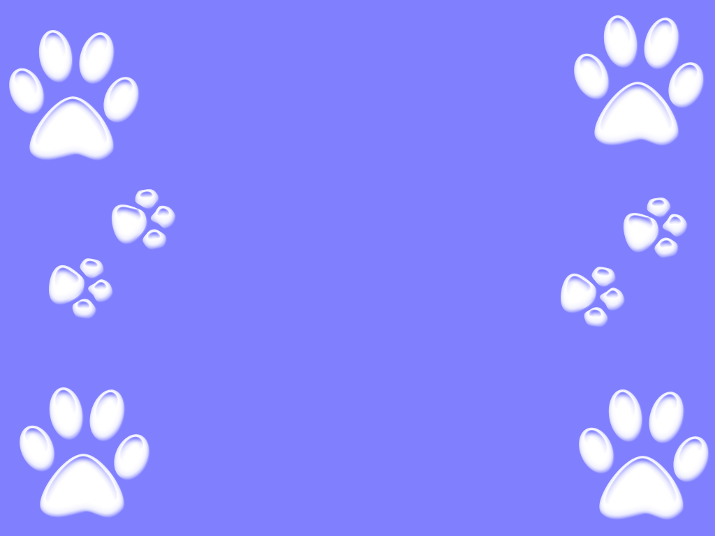 Paw Print Wallpapers - Wallpaper Cave