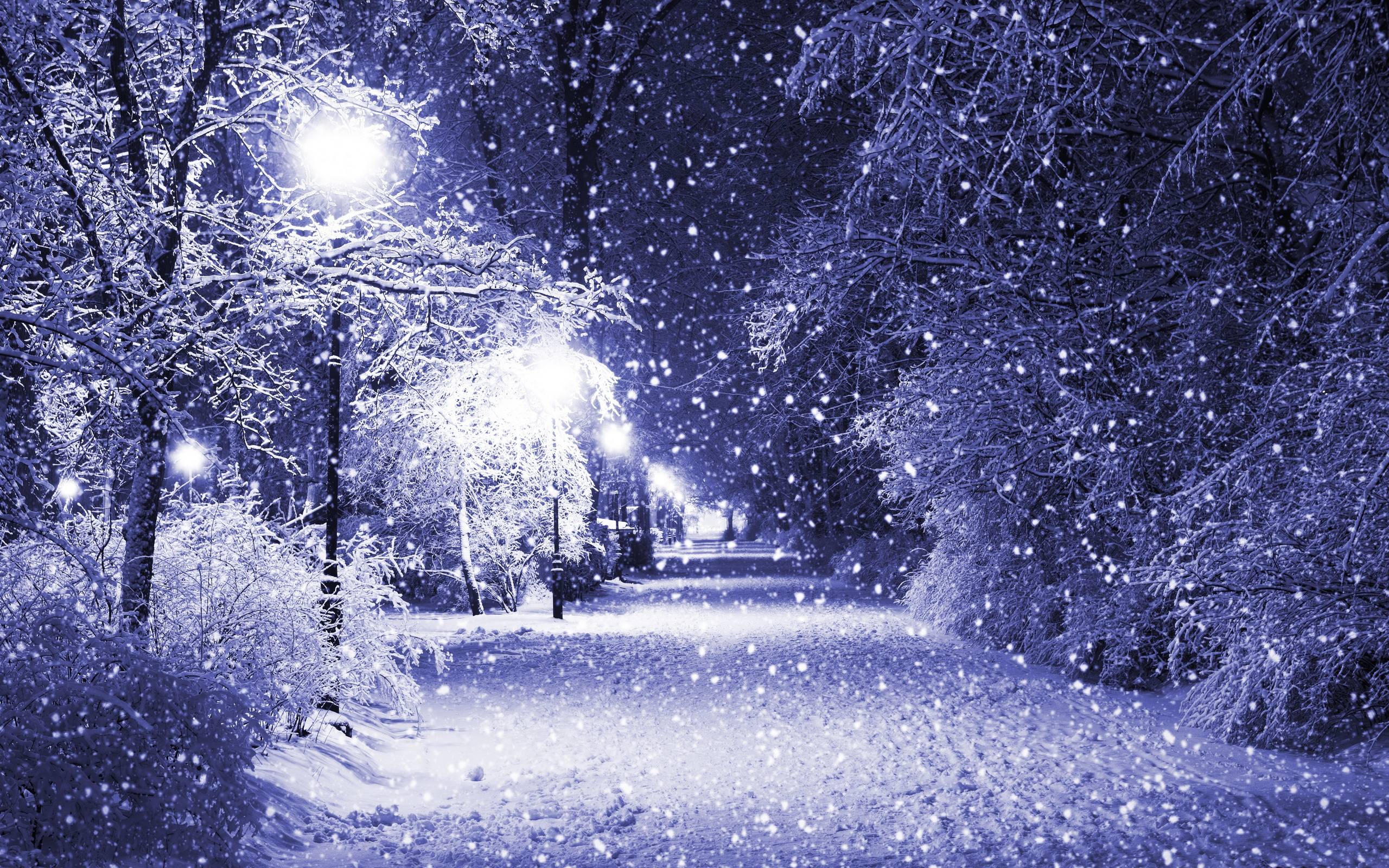 Beautiful Winter Night Wallpaper. Bulk HD Wallpaper