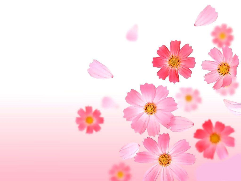 Pink Flowers Picture and Wallpaper Items