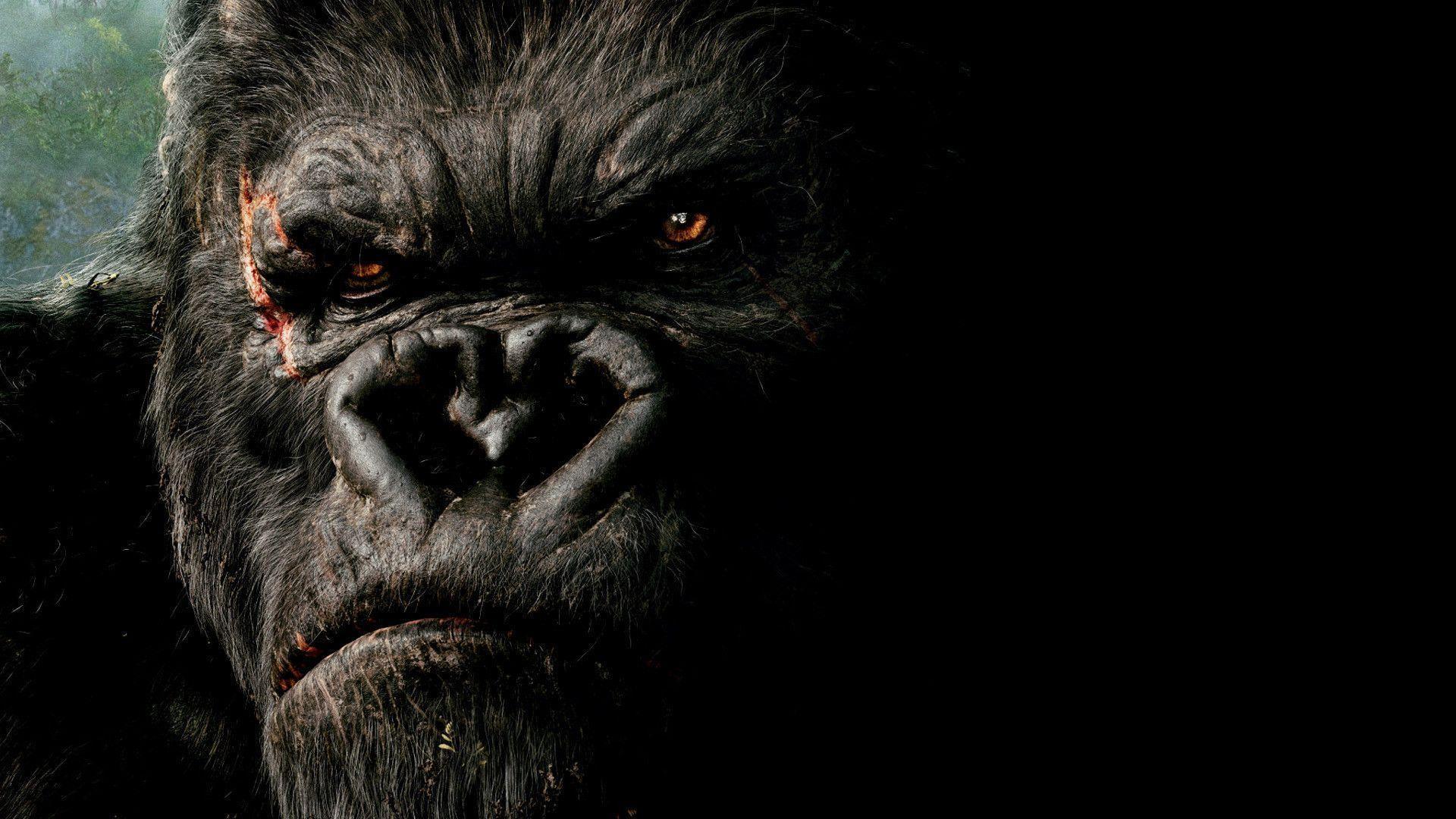 King Kong (2005) Movie in HD and Wallpaper