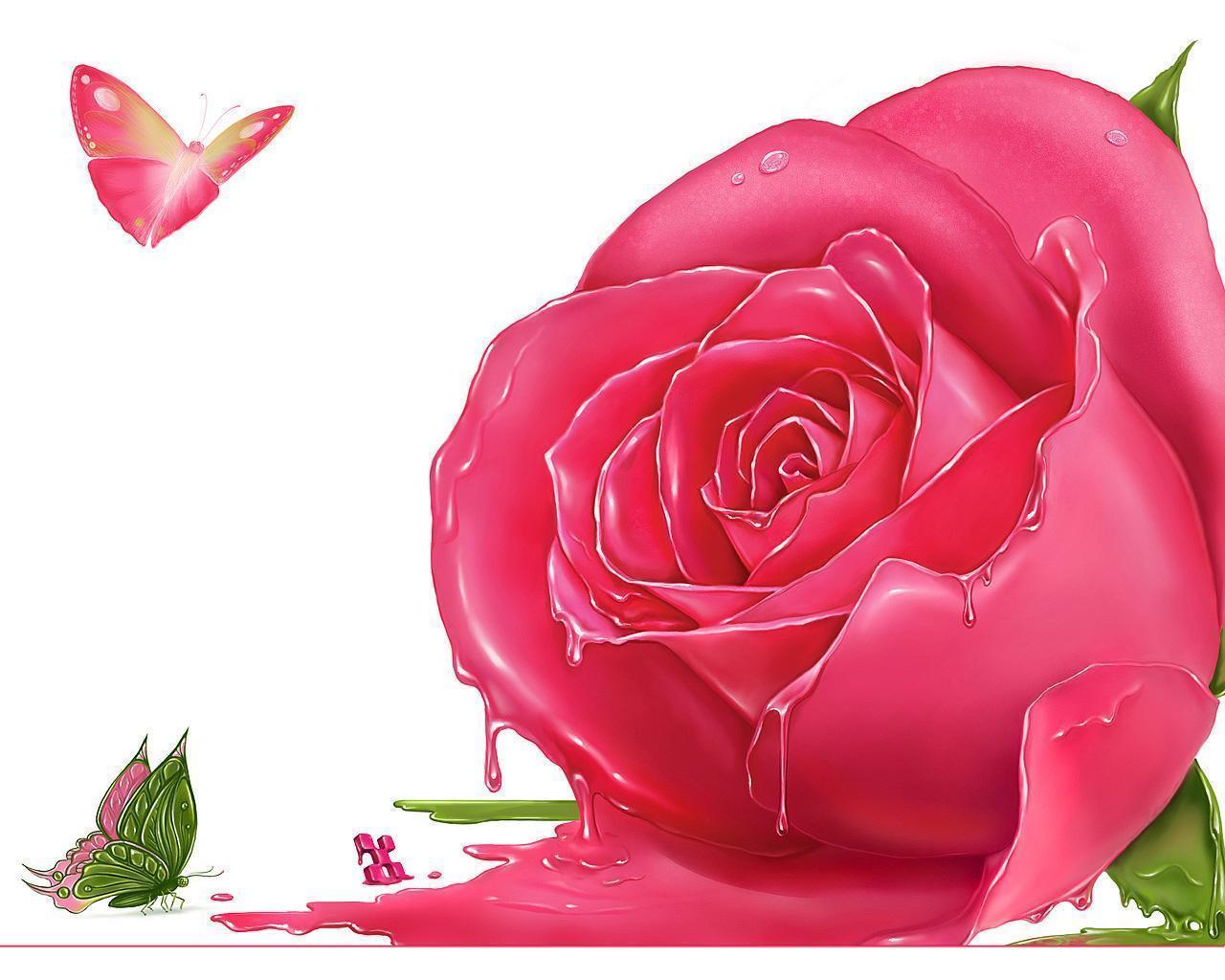Flowers For > Single Pink Roses Wallpaper