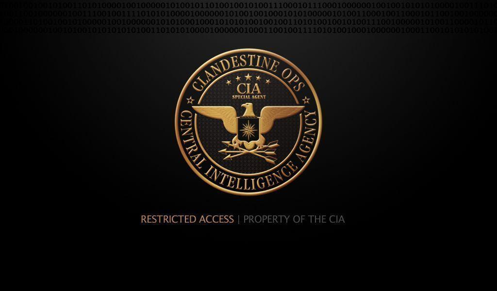 Download USA Cia Wallpaper 1024x600