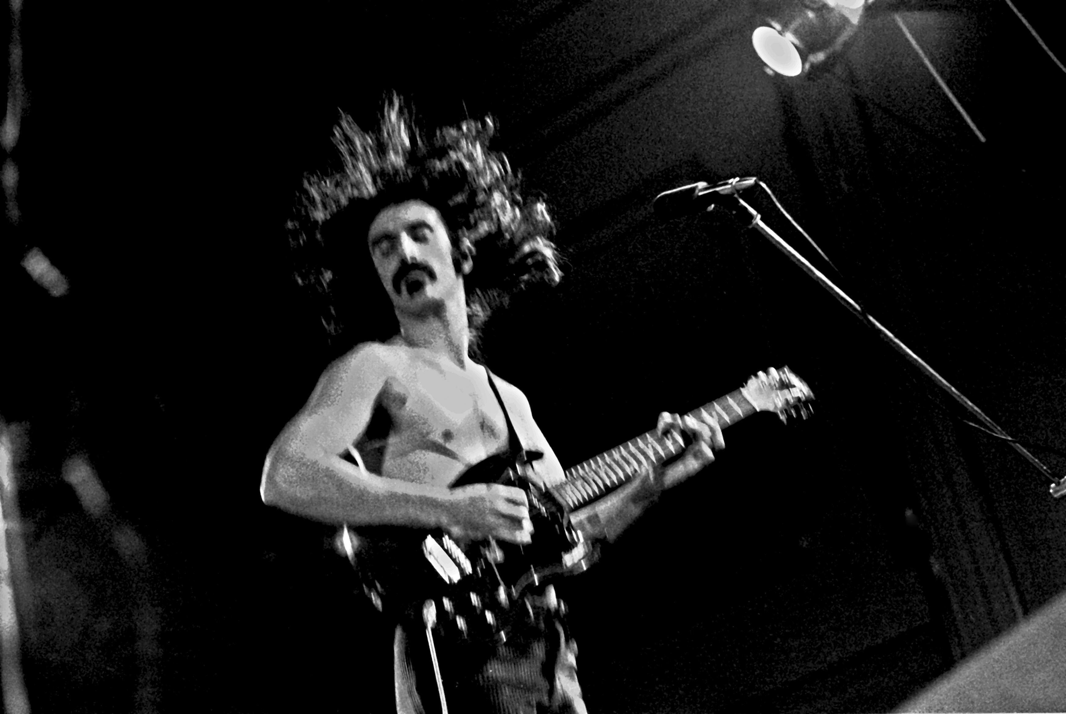 Frank Zappa In