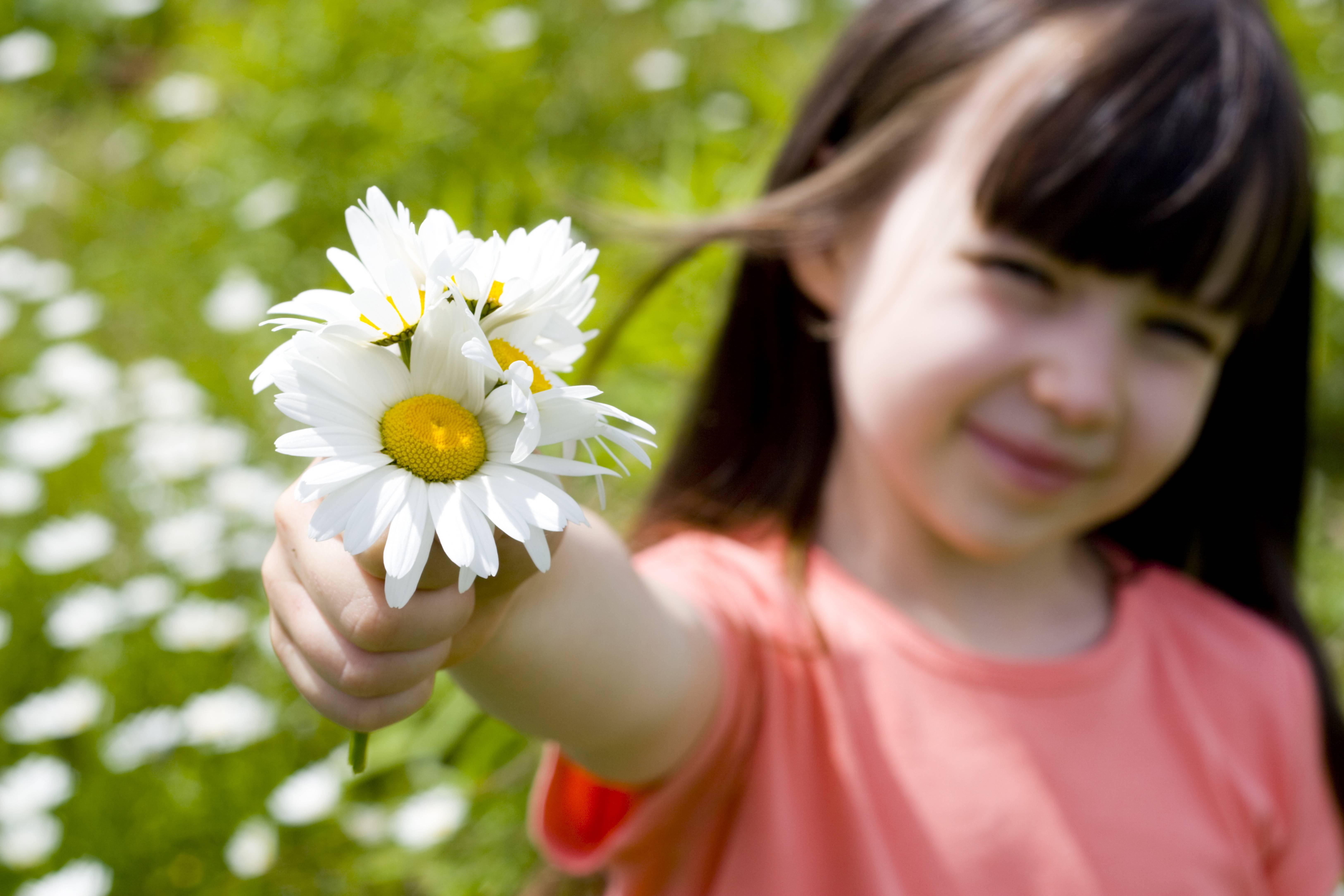 Child Girl Collecting Flowers Wallpaper