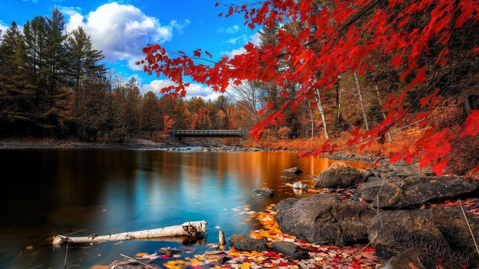 Lake in the fall wallpaper #