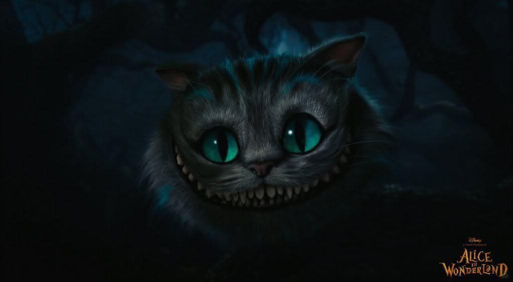 Cheshire Cat Photo